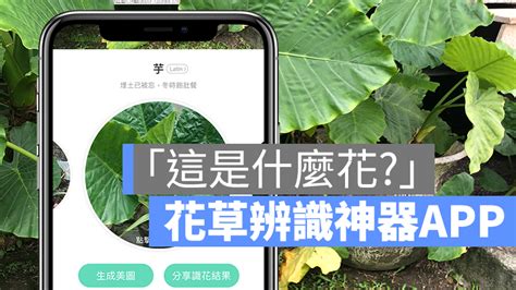 這是什麼花app|形色